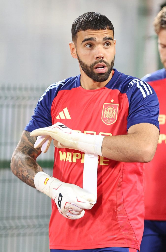 david raya world cup 2026