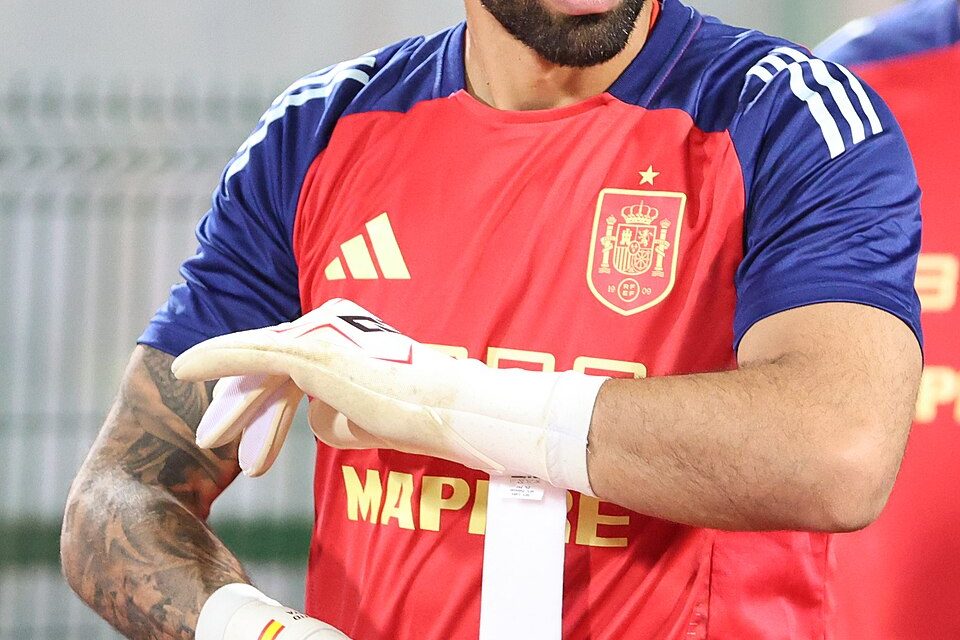 david raya world cup 2026